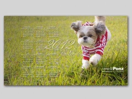 2012年、デスクトップPC用カレンダー、シーズー犬「ぽんず」