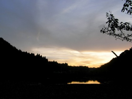 昭和の森の湖夕暮れ