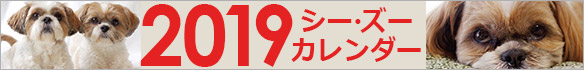 2019年シーズーカレンダー